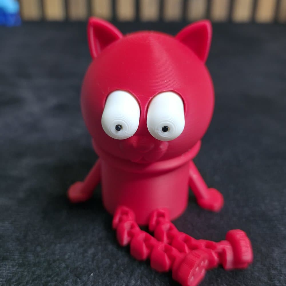 Kedi Ahtapot — görsel 1