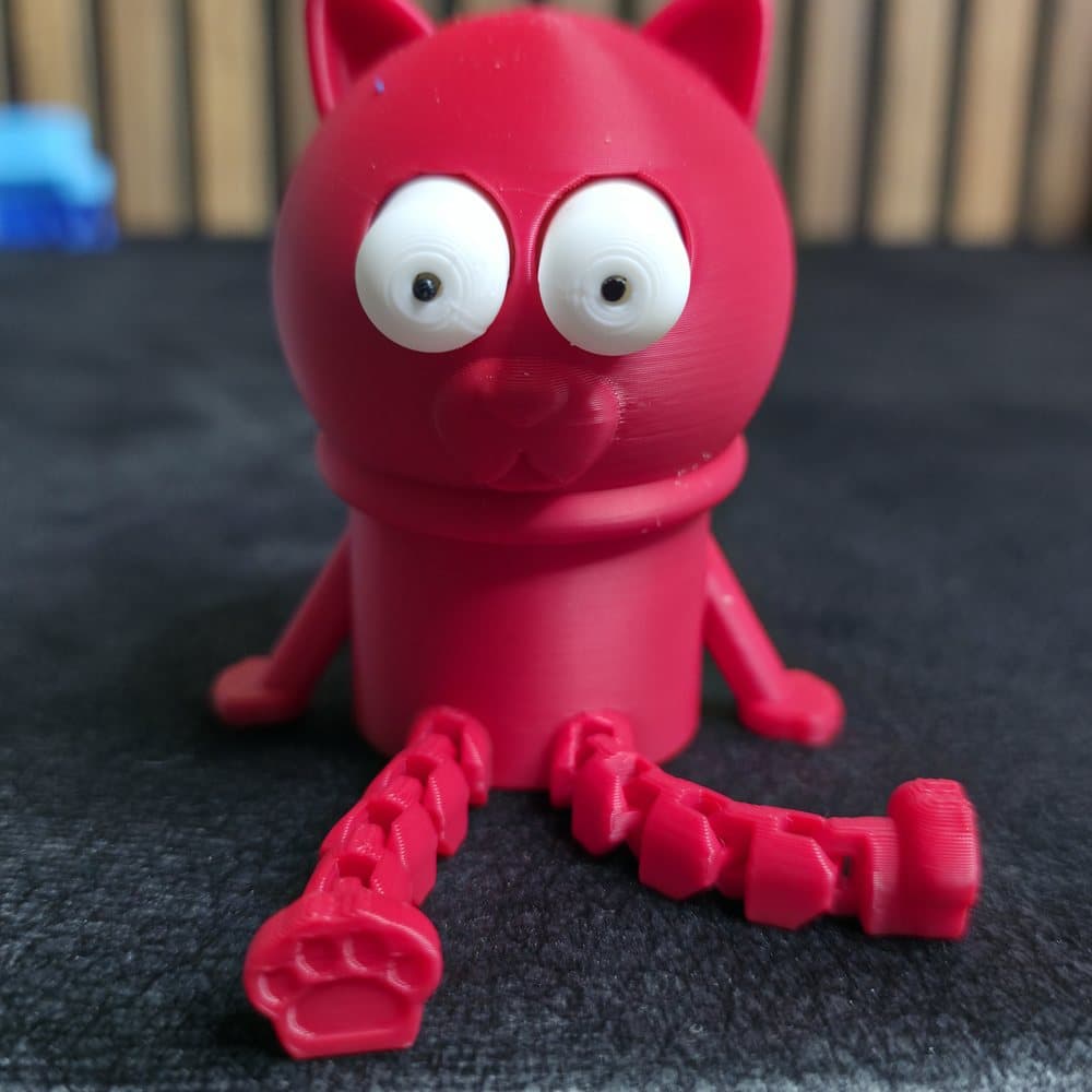 Kedi Ahtapot — görsel 2